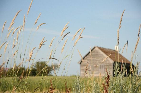 little-house-on-prairie