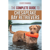 The Complete Guide To Chesapeake Bay Retrievers | Amazon