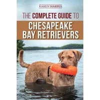 The Complete Guide To Chesapeake Bay Retrievers | Amazon