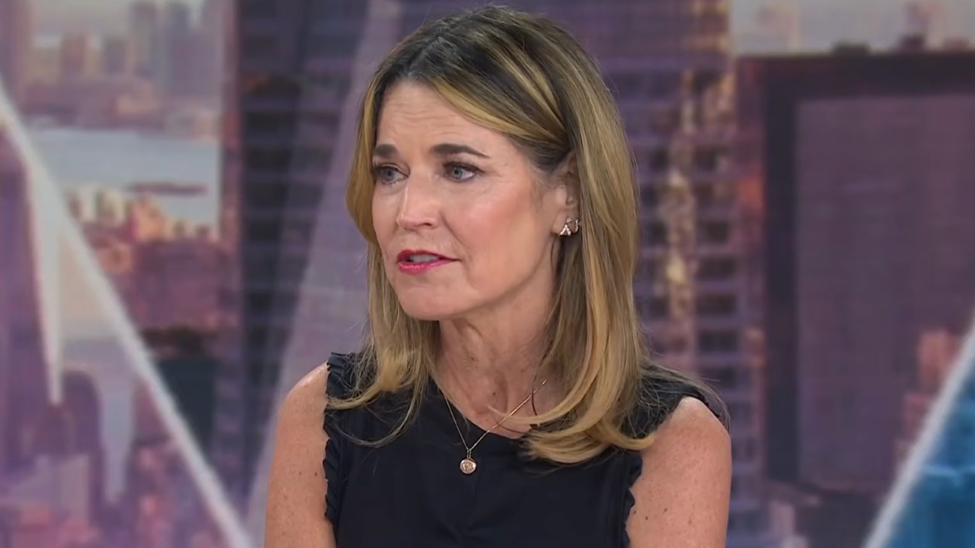 Savannah Guthrie speaks on Today with Jenna and Sheinelle.