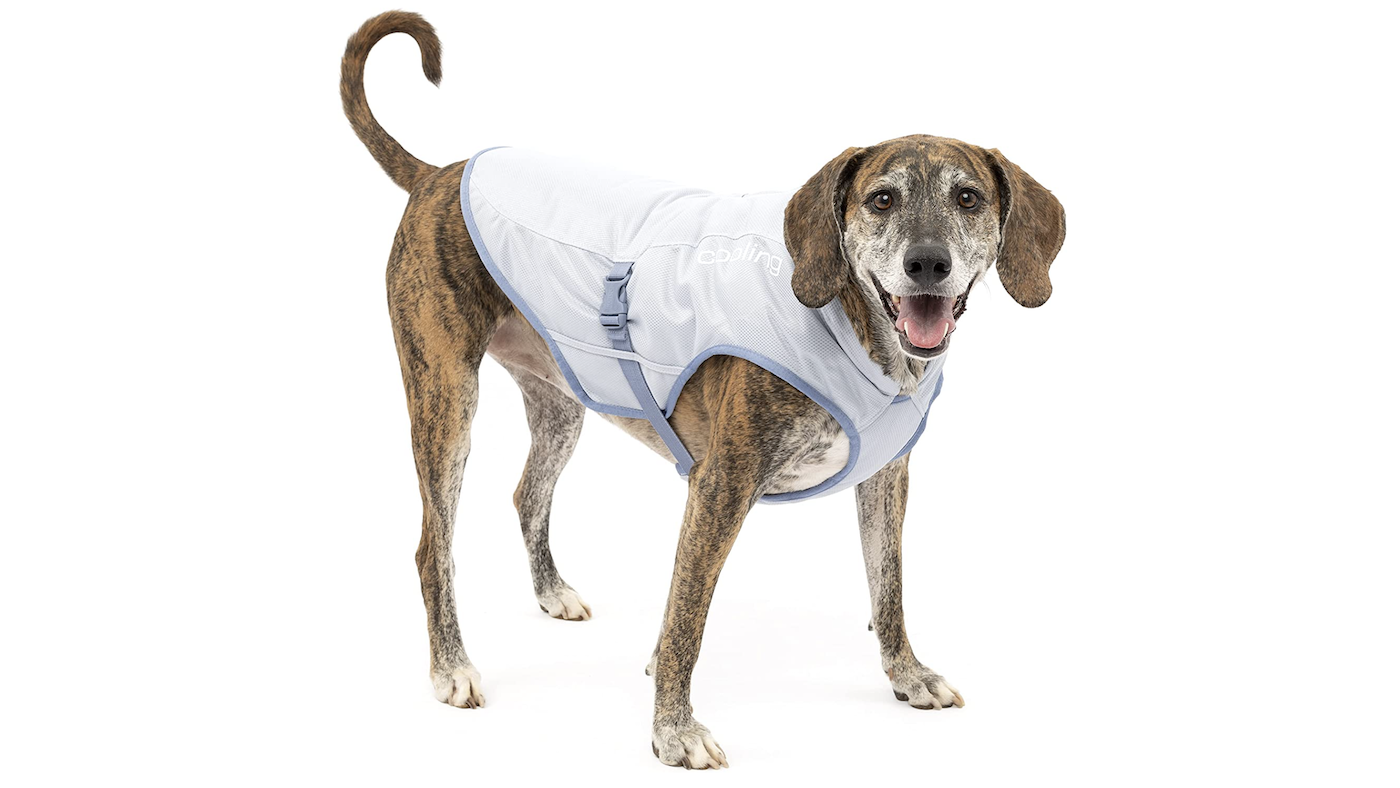 Kurgo dog cooling jacket