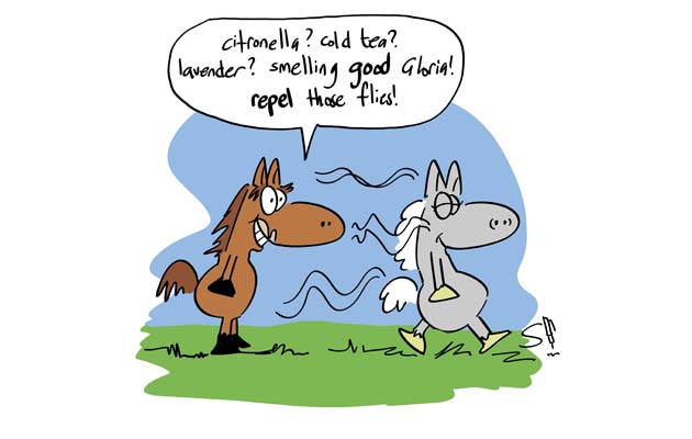Cartoon3