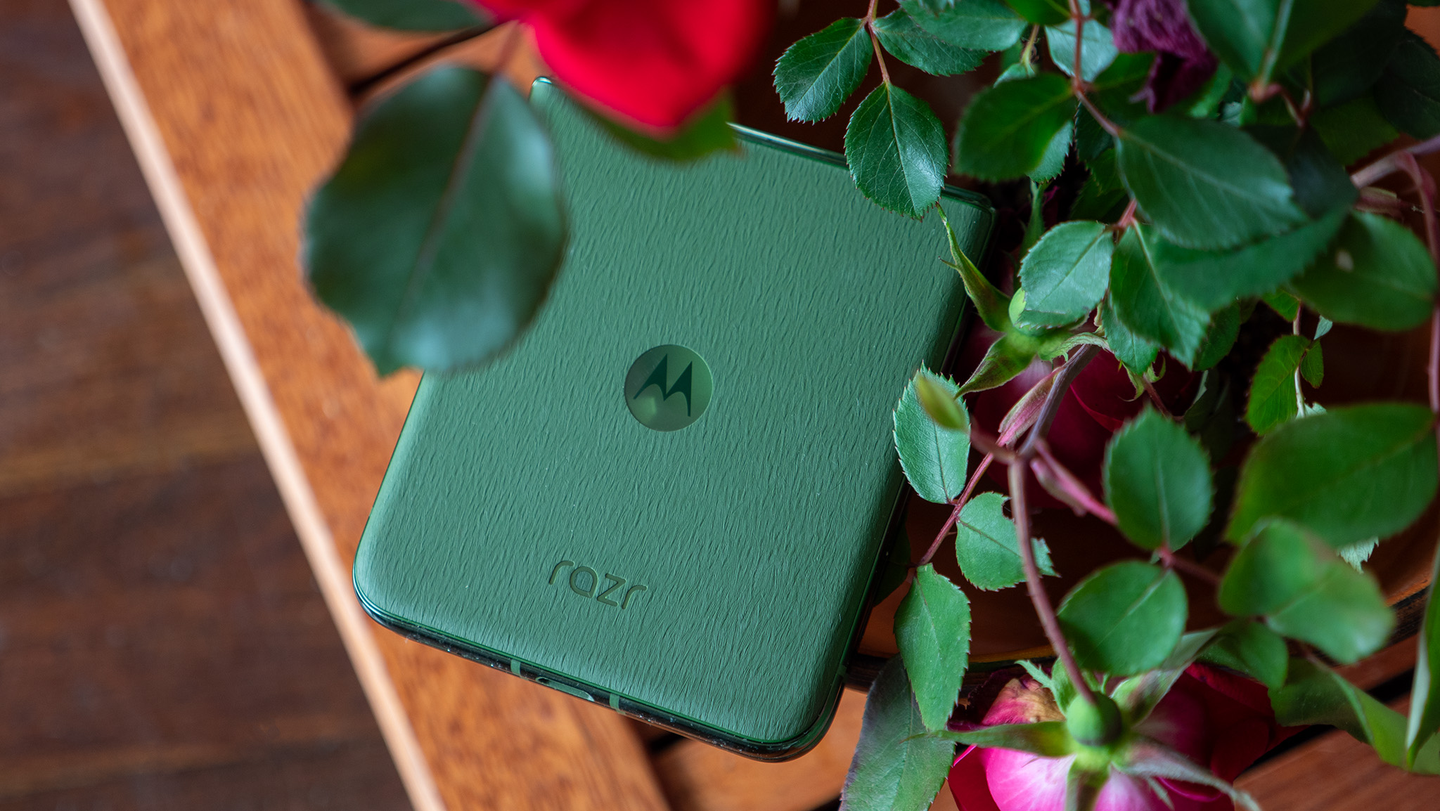 The back of the green Motorola Razr Plus 2024 while it's closed, sitting on a tea tray next to some roses