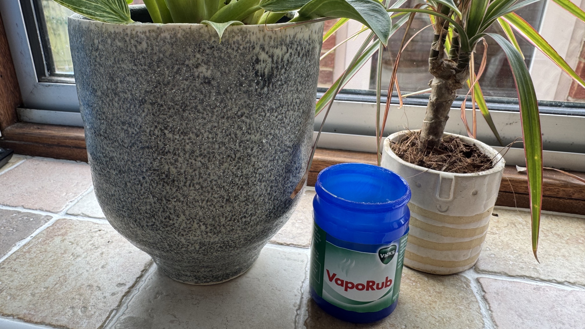 VapoRub pest plant hack