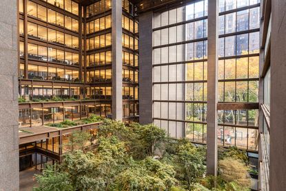 The Ford Foundation Center for Social Justice