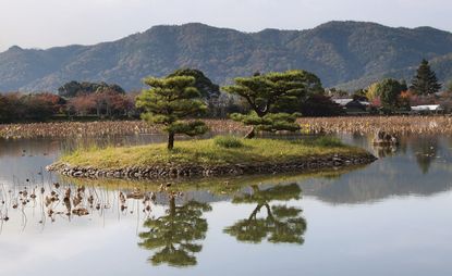 The Japanese Garden