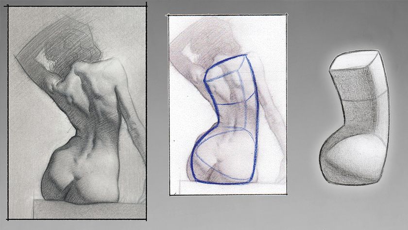Images from an anatomy drawing tutorial