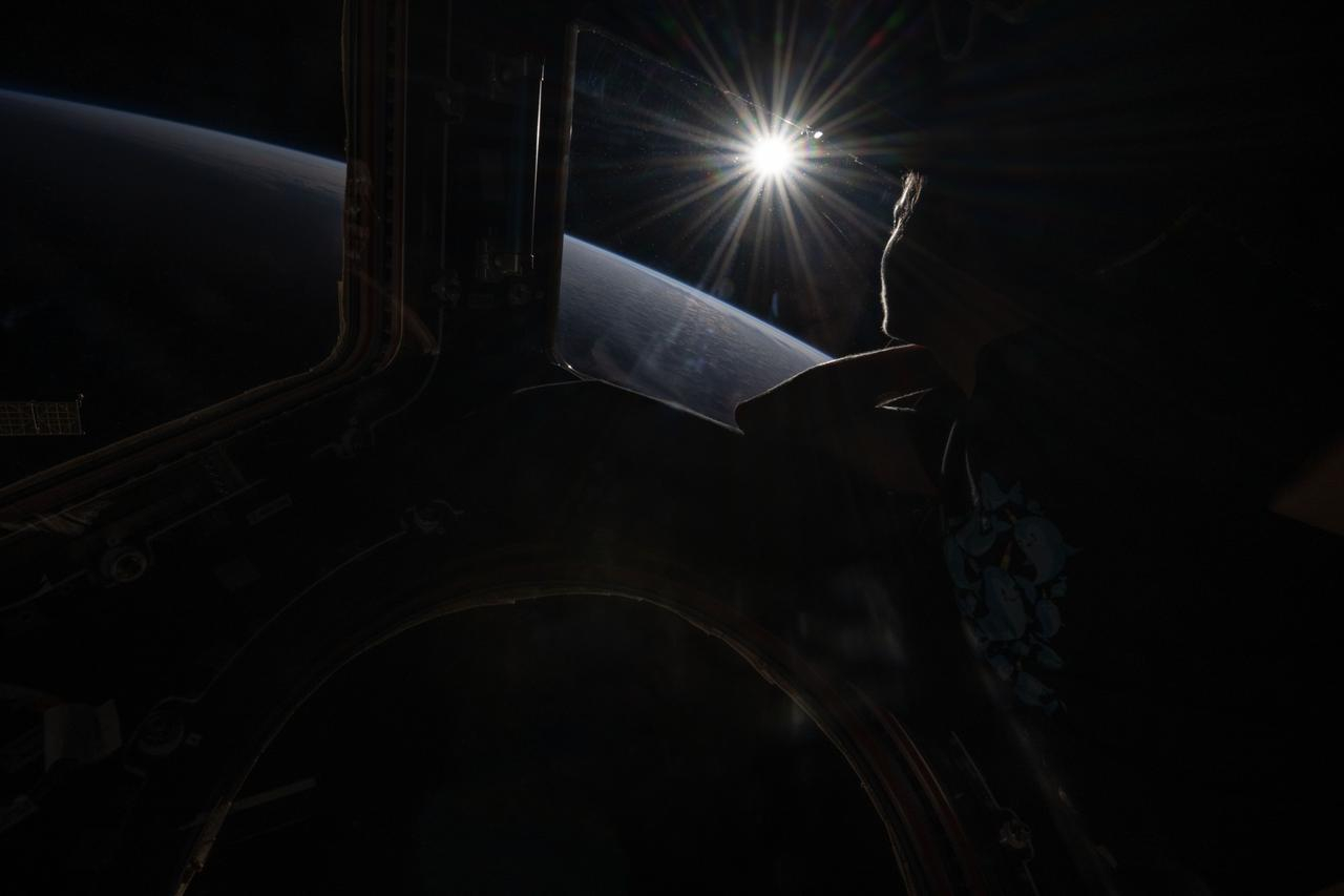 in a pitch black image, the slight silhouetted outline of a face rests on an arm, peering out the window of a spacecraft, with the curve of the shadowed earth arching behind the pane, and the blazing sun shooting rays in all directions hangs above in the black of space.