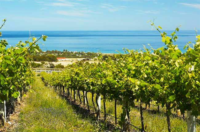Malibu Coast, California wine
