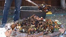 person building a hügelkultur mound using logs, branches and kitchen waste