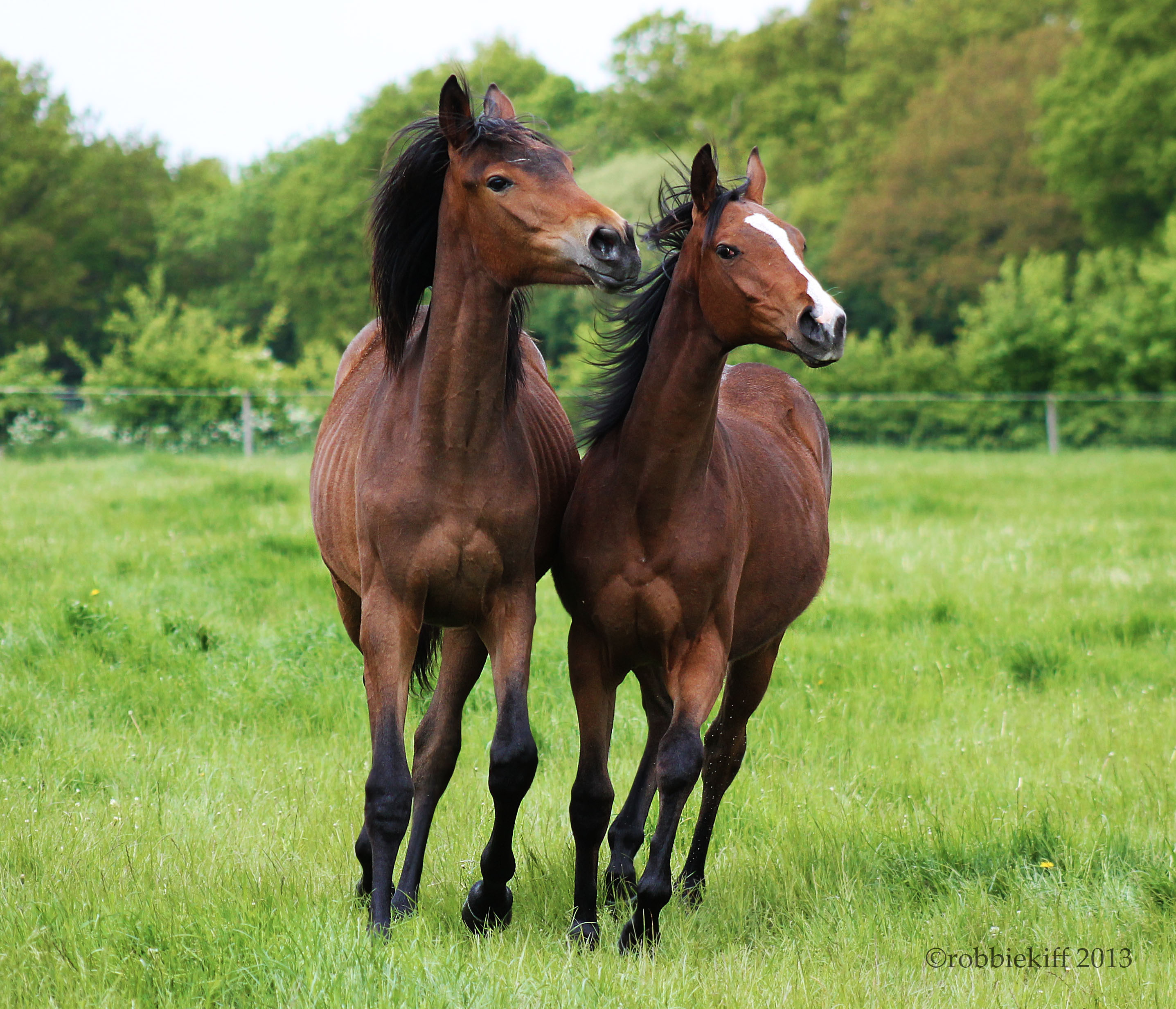 Side by side running
