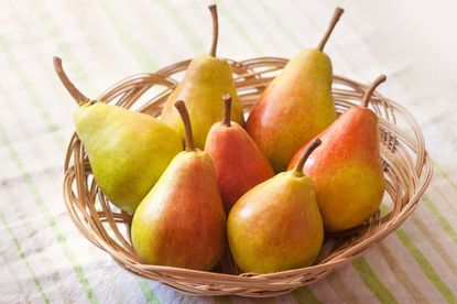 Decorative Bartlett Pears, Natural Look Fruit