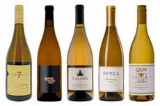 California whites under 30