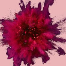 Red, Magenta, Pink, Colorfulness, Purple, Art, Maroon, Violet, Coquelicot, Illustration, 