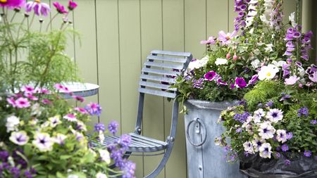 Garden seat surrounded by container plants, green backdrop