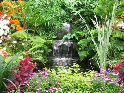 Exotic Garden With Waterfall And Colorful Plants