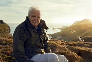 Sir David Attenborough sits on Skomer Island, with puffins in the background in Wild Isles. 