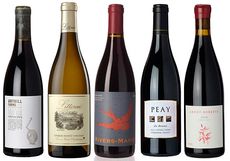 Best Sonoma Coast Wines