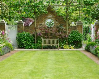 lawn with pleached trees against a brick wall at the end