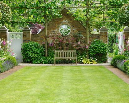 Monty Don's advice on getting the perfect lawn