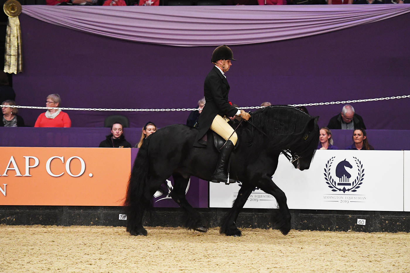 HOYS 03 10 19