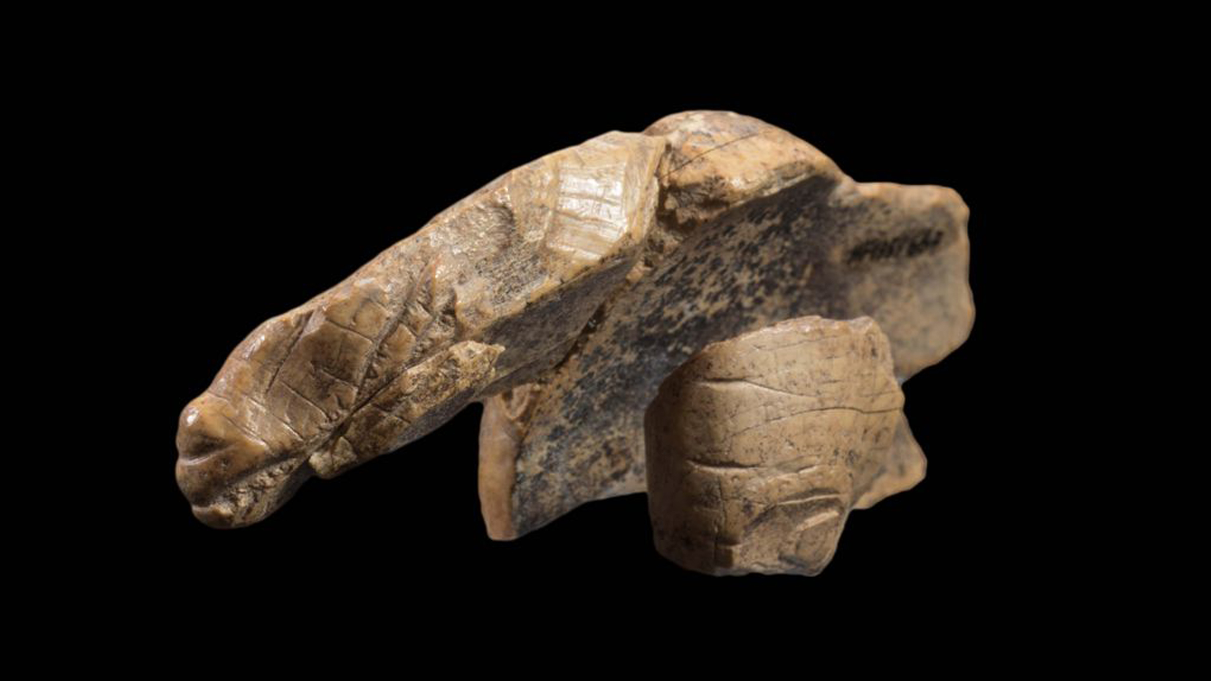 Missing 'body' of ice age animal carving finally found — but nobody knows  what the animal is | Live Science