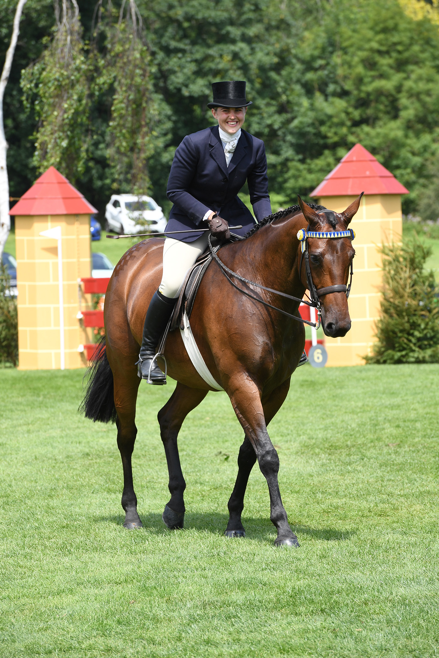 RIHS-R-Horse-23.07.2144199.jpg