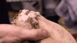 The potato infested with maggots in Kitchen Nightmares.
