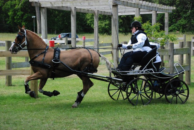 1-header-pic-Sandringham-HDT-e1436799753305.jpg