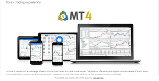 Website screenshot for MetaTrader 4