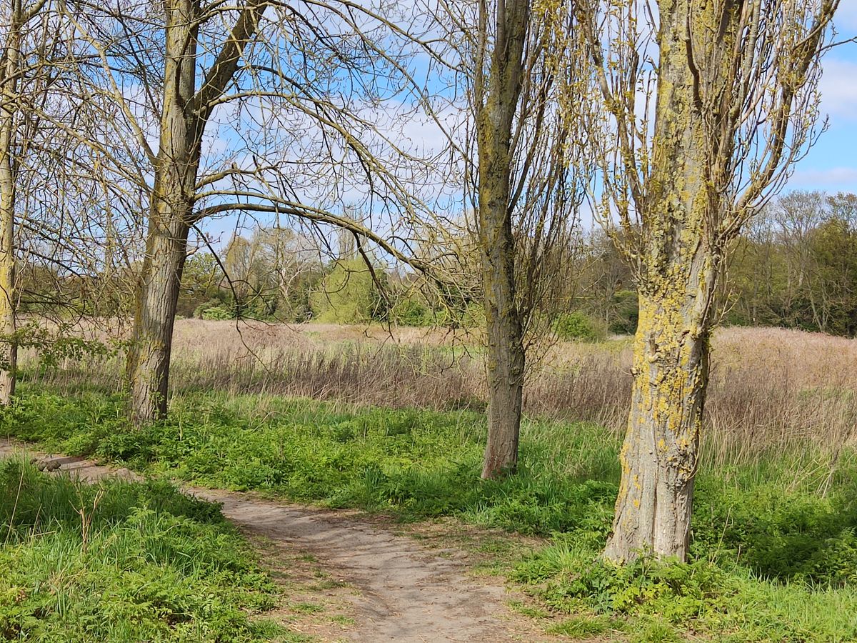 Poco X3 Pro camera sample