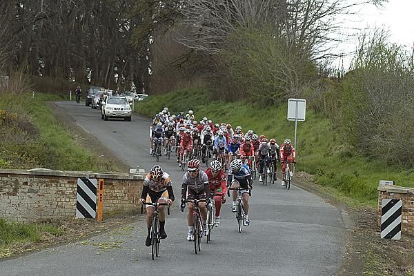 Riders make their way on the roads near Longford in the inaugural Launceston to New Norfolk 200km one-day classic.