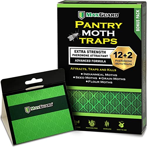Maxguard Pantry Moth Traps (12 Pack +2 Free) With Extra Strength Pheromones | Non-Toxic Sticky Glue Trap for Food and Cupboard Moths in Your Kitchen | Trap and Kill Seed Grain Flour Meal Moths |