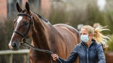 Izzy Taylor trots-up Monkeying Around at Burnham Market.