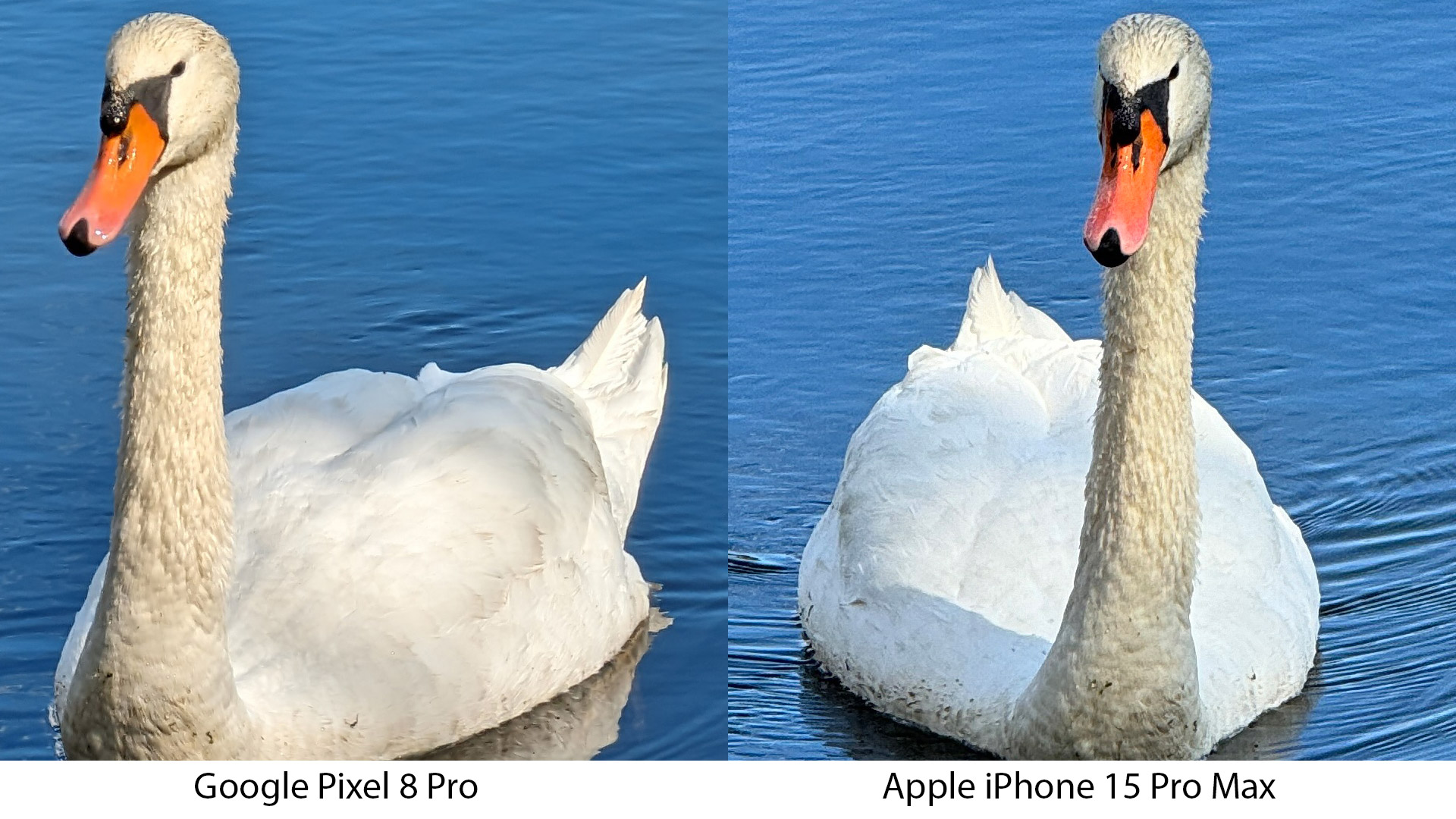 Pixel 8 Pro vs iPhone 15 Pro Max 5Xx zoom test - cropped images