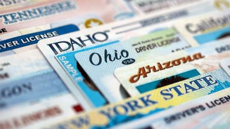 drivers licenses from different states
