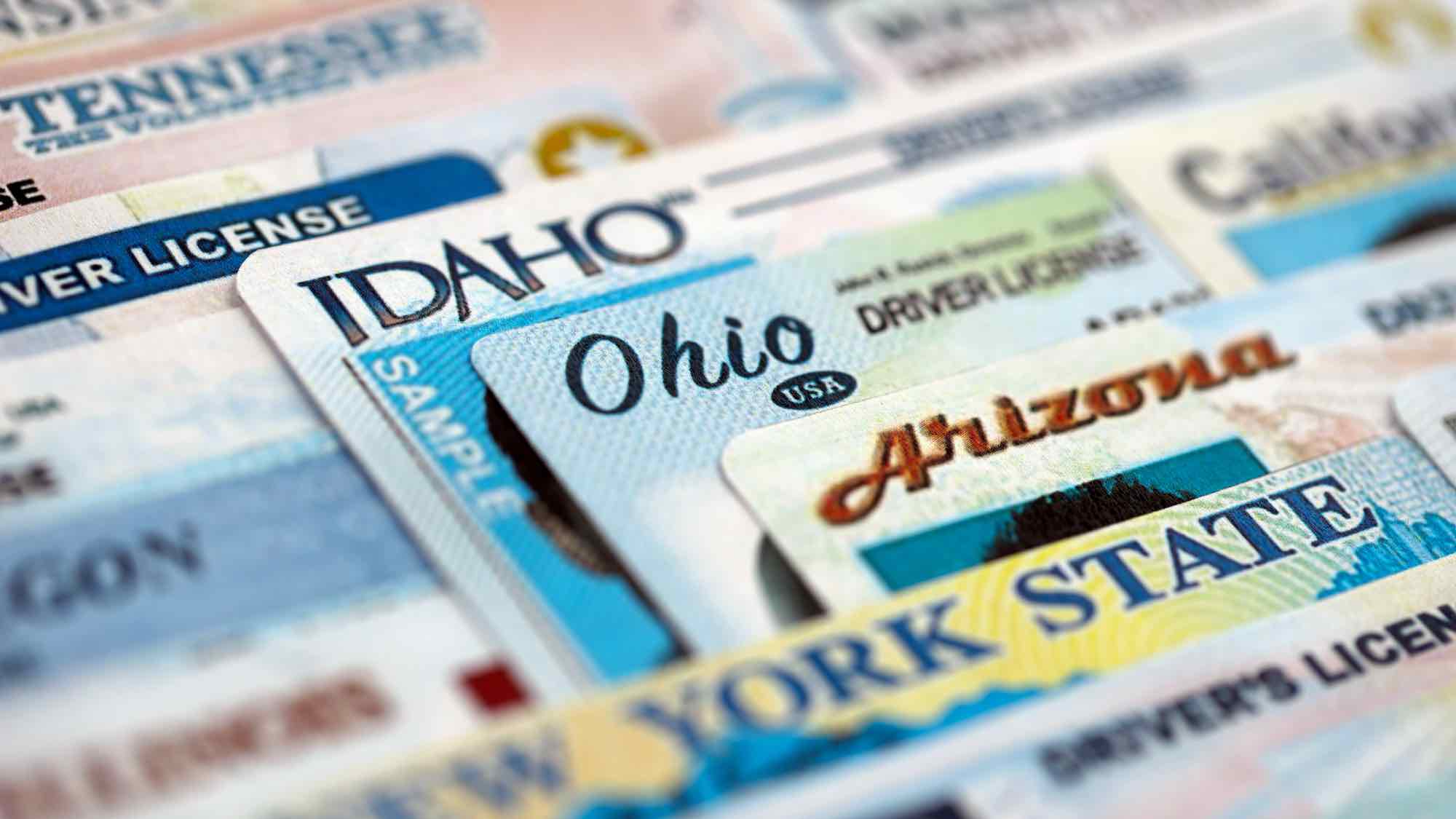 drivers licenses from different states