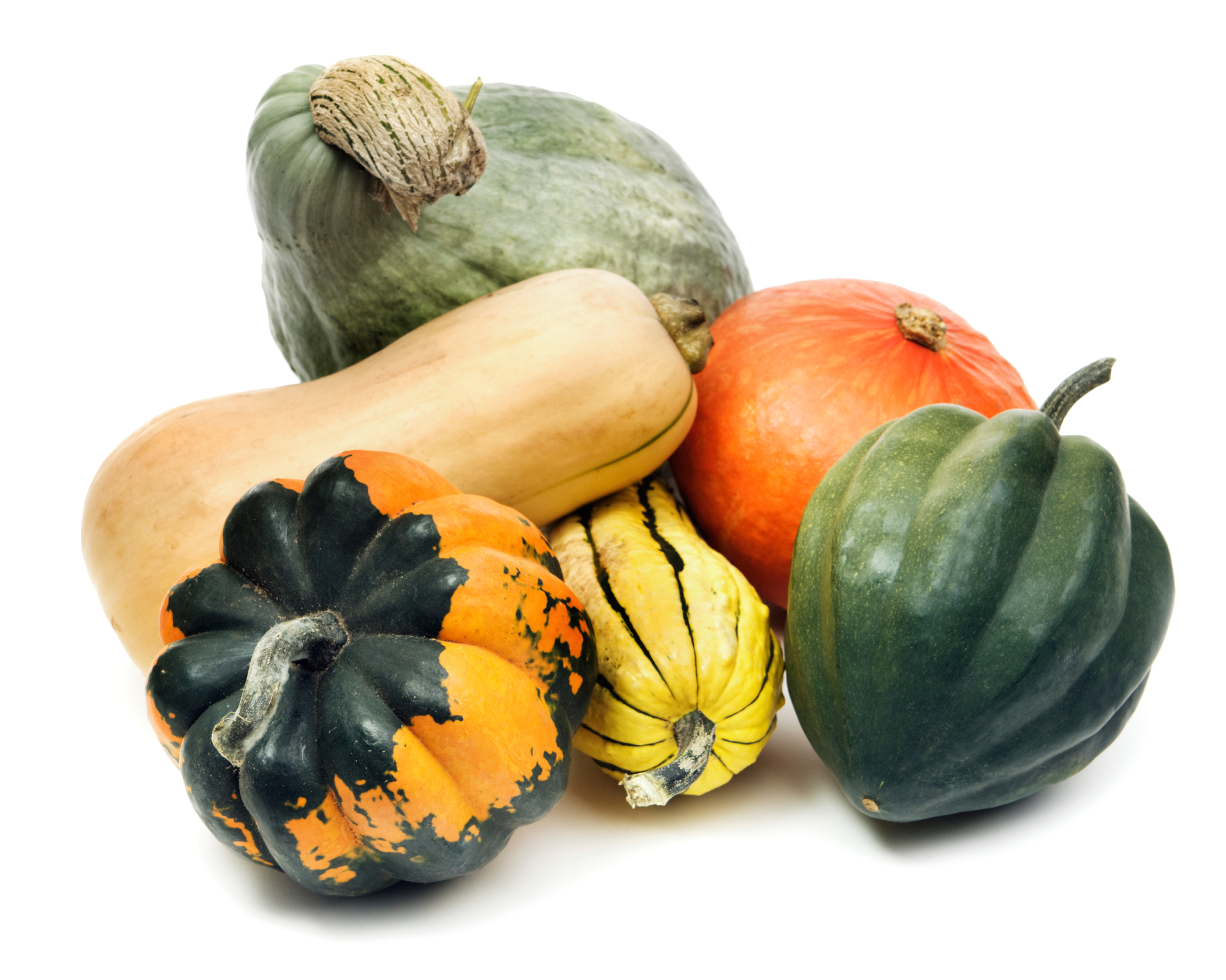 Subject: A family of winter squash isolated on white background.