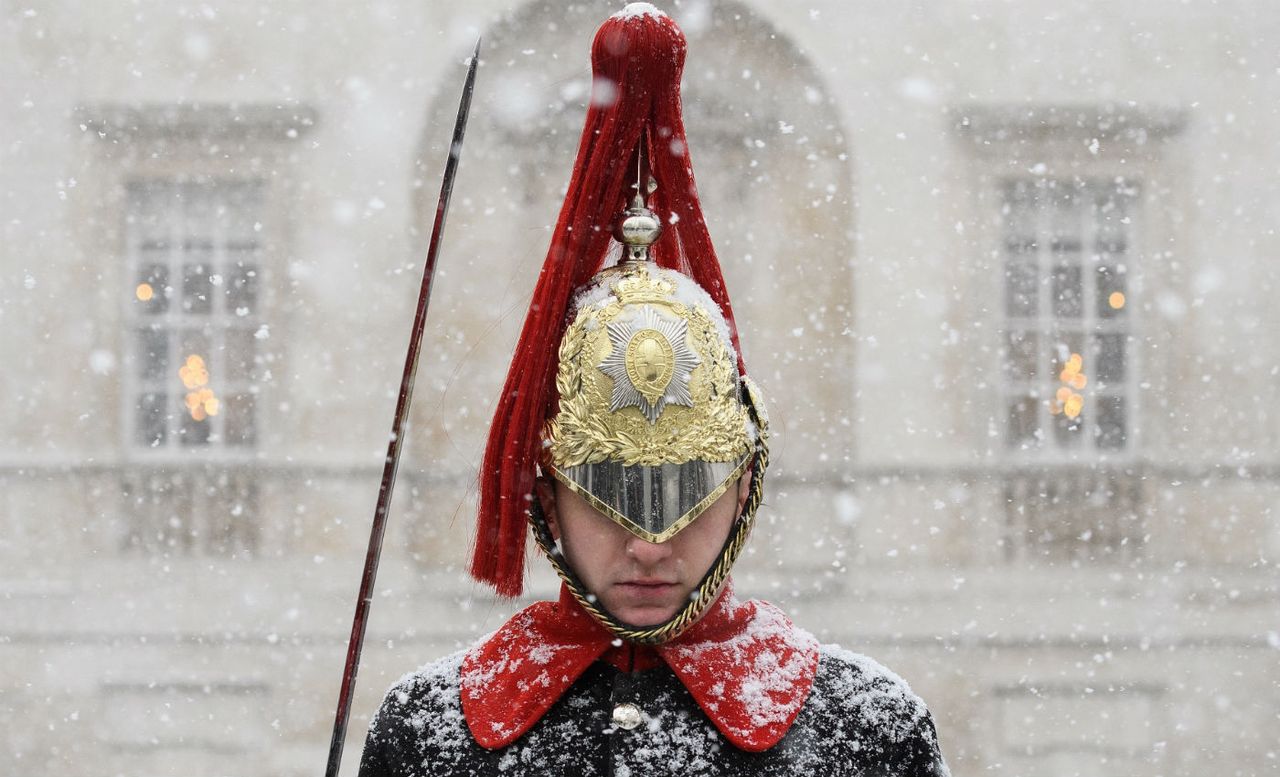Household Cavalry guardsman