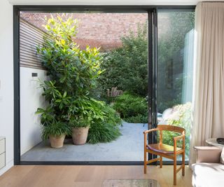 A view through sliding doors to a small courtyard garden lush with planting