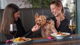 Two ladies in restaurant with pet dog