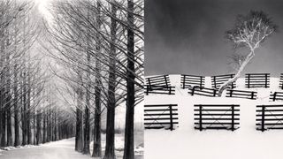 A black and white diptych where the left image shows a road lined on both sides by tall, bare trees, and the right image features a small, white-canopied tree on a snowy hill surrounded by dark, horizontal wooden fences.