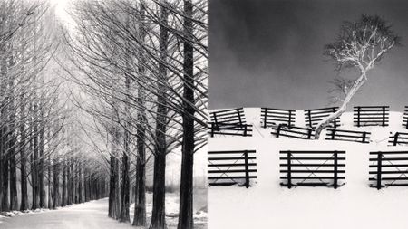 A black and white diptych where the left image shows a road lined on both sides by tall, bare trees, and the right image features a small, white-canopied tree on a snowy hill surrounded by dark, horizontal wooden fences.