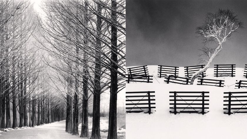 A black and white diptych where the left image shows a road lined on both sides by tall, bare trees, and the right image features a small, white-canopied tree on a snowy hill surrounded by dark, horizontal wooden fences.