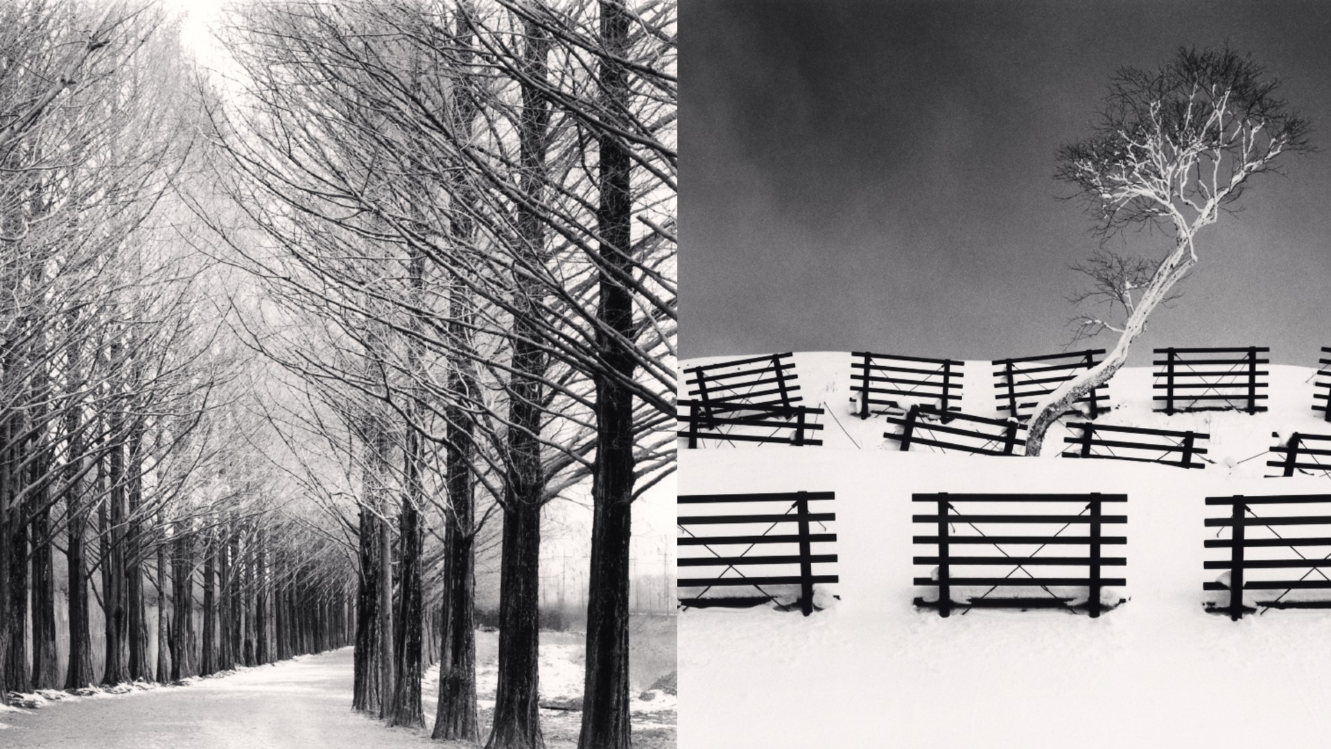 A black and white diptych where the left image shows a road lined on both sides by tall, bare trees, and the right image features a small, white-canopied tree on a snowy hill surrounded by dark, horizontal wooden fences.