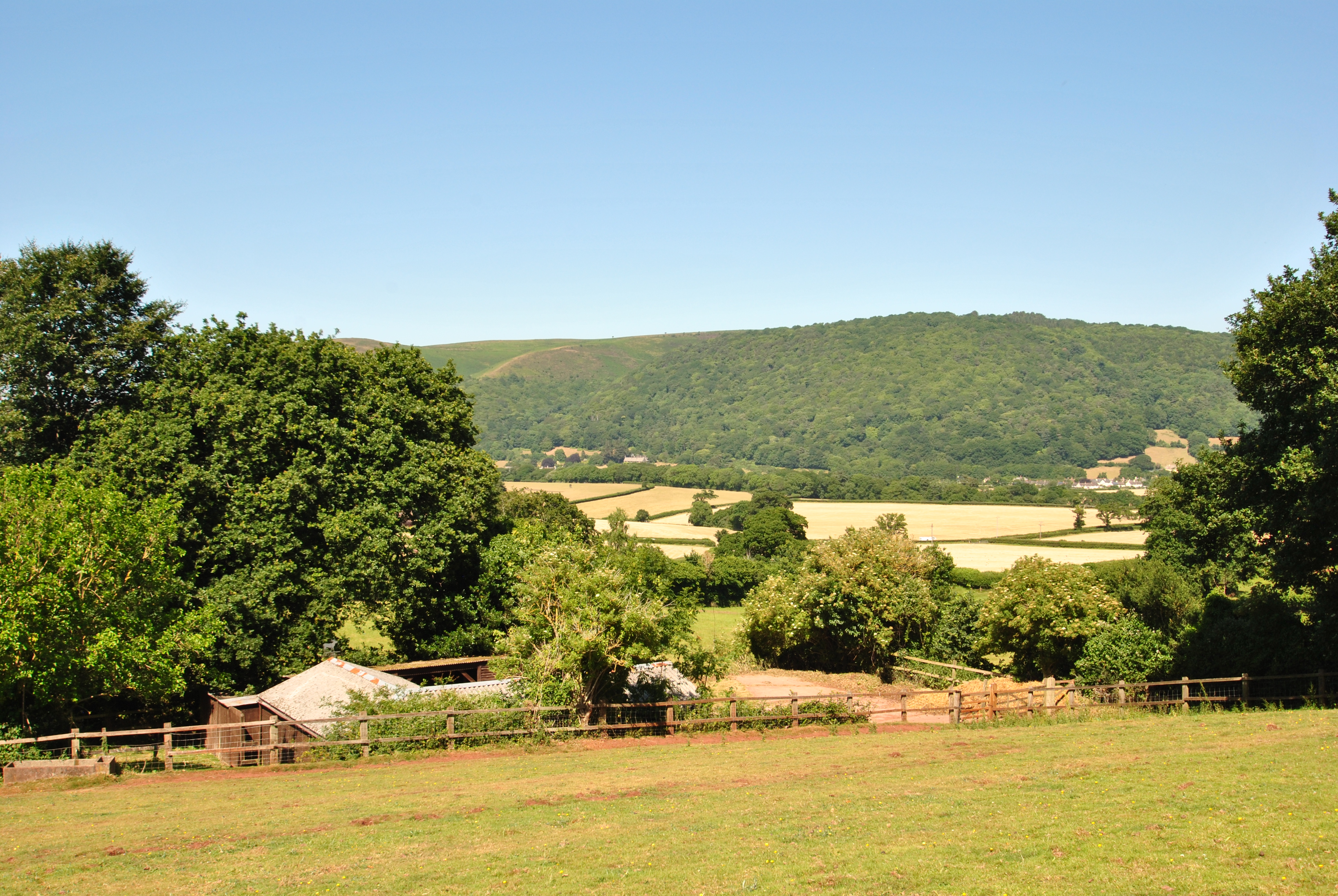 DSC_0081.jpg