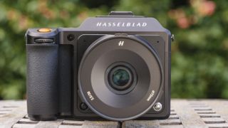 A Hasselblad camera sitting on a garden table