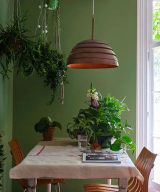 dining area in kitchen with green walls and pendant lamp and plants