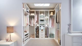 Walk-in dressing room with open storage, shelving, rails, and a skylight