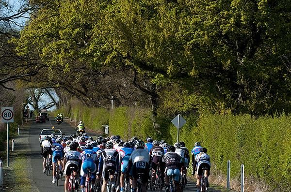 The peloton make their way along quiet country roads out the back of Launceston.